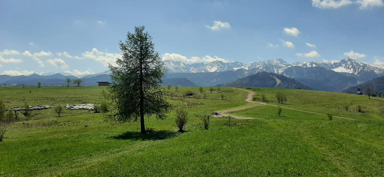 Pokoje Goscinne Przeklasa Pawel Zakopane Ngoại thất bức ảnh