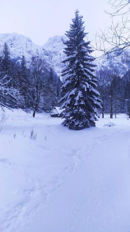 Pokoje Goscinne Przeklasa Pawel Zakopane Ngoại thất bức ảnh